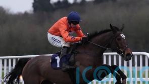 No Panic at all at Newbury for Skelton&rsquo;s mare