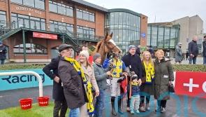 Bambino Fever delivers dominant Fairyhouse win
