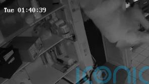 Police share &lsquo;genius&rsquo; video of bungling burglar crashing to Earth