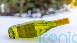 6 winter whites to perk up your palate