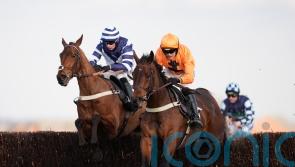 Saint Segal likely to test Game Spirit waters at Newbury