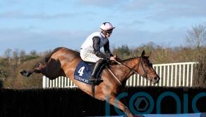 Kala Conti looks set for Grade One appearance at Sandown