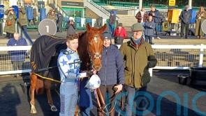 Oisin Murphy steers Stateira to Newcastle verdict