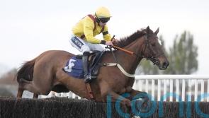 Konfusion and Myretown putting Gold Cup dreams on the line