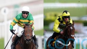 Sir Gino and The New Lion set for Cheltenham clash