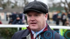 Gordon Elliott considering maiden route for El Cairos