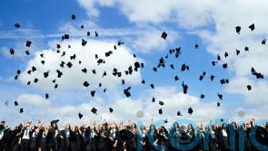 Education key to divide on immigration and politics, research suggests