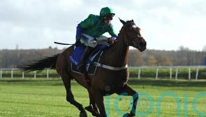 Act Of Innocence poised for Trials day test