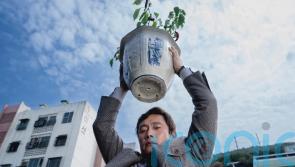 Park Chan-wook: Korean filmmakers &lsquo;treat social conflict as a serious problem&rsquo;