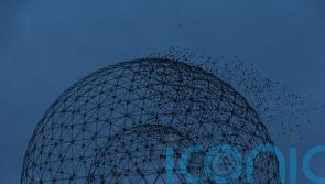 Young people throwing debris at vehicles near Broadway Roundabout