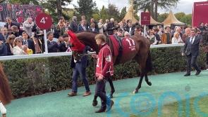 Prix Ganay target for Arc hero Daryz