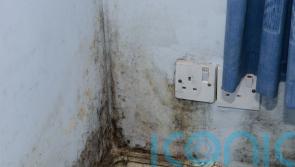 New rules will protect tenants from damp and mould, Scottish Government says