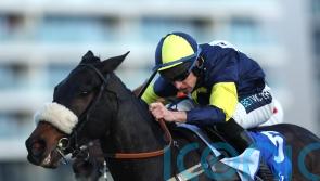 Wendigo given Ayr option next week