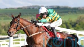Spillane&rsquo;s Tower set for first taste of Cheltenham on Saturday