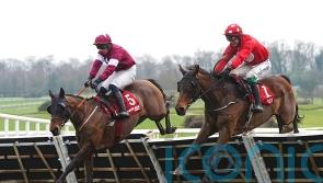 Home By The Lee is Cheltenham-bound again after Galmoy delight