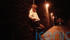 Holyrood committee split on prostitution Bill as concerns raised