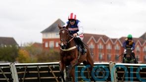 Taurus Bay taking the spotlight for Pauling and Redknapp