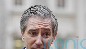 &lsquo;Foolish&rsquo; to assume Trump will not threaten tariffs again, says Harris