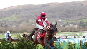 Favori De Champdou the latest cross-country hero for Elliott and Gigginstown