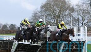 Snowden hopeful Conquiere can can make at impact at Cheltenham