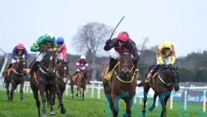 Affordale Fury on course for Irish Gold Cup challenge