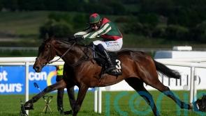 Tisdall excited about Final Demand&rsquo;s Leopardstown task