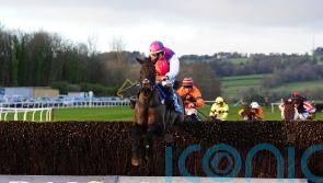 Haiti Couleurs misses Leopardstown, with Newbury now the plan
