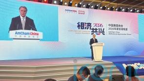 China&rsquo;s manufacturing dominance &lsquo;not healthy for rest of world&rsquo; &ndash; US envoy