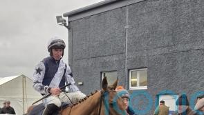 El Cairos survives minor scare to put Cheltenham case