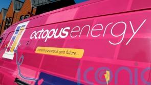 Octopus Energy to trade renewables in China after striking joint venture