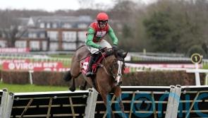 Henri The Second thrives in Sandown test