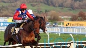 Lavelle sets sights on Stayers&rsquo; challenge with Ma Shantou