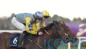 Connor hit with 14-day ban for mistaking winning post