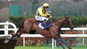 Doctor Steinberg far too good at Leopardstown