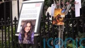 Van driver pleads guilty to killing university student in central London crash