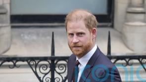 Private investigator &lsquo;did unlawful stuff&rsquo; related to Duke of Sussex, court told