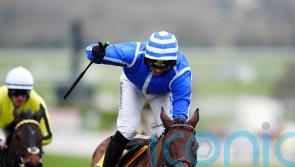 Poniros likely to be given green light for Champion Hurdle