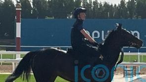 Comanche Brave tuning up nicely for Abu Dhabi tilt