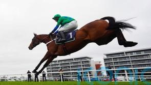 Act Of Innocence set to be the star turn at Huntingdon