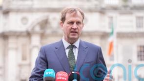 Ireland &lsquo;nowhere near&rsquo; Ice-style deportation system &ndash; Justice minister