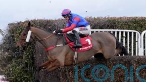 National dream not over for Mr Vango after Sandown blip