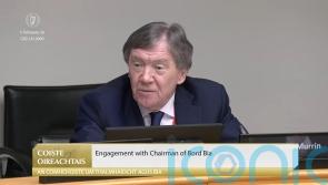 &lsquo;I&rsquo;m not a champion for Brazil&rsquo;, Bord Bia chairman tells committee