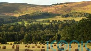 First Minister pledges to &lsquo;secure bright future&rsquo; for Scotland&rsquo;s farmers