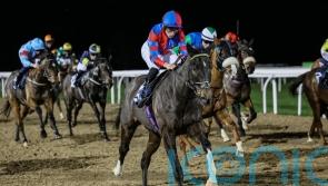 Aisling Oscar makes history with eighth successive handicap win