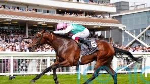 Jonquil all set for Abu Dhabi Gold Cup bid
