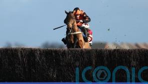 Mambonumberfive and Steel Ally clash in Kingmaker