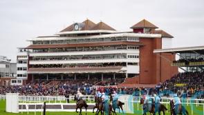 No inspection at Newbury as a dry night forecast