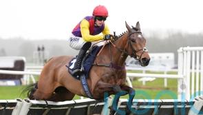 Sober Glory excels at Newbury
