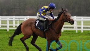 Tutti Quanti looks a class above and has Nicholls dreaming big