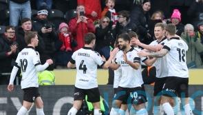 Bristol City squirrel away the points as loose rodent cannot help Hull